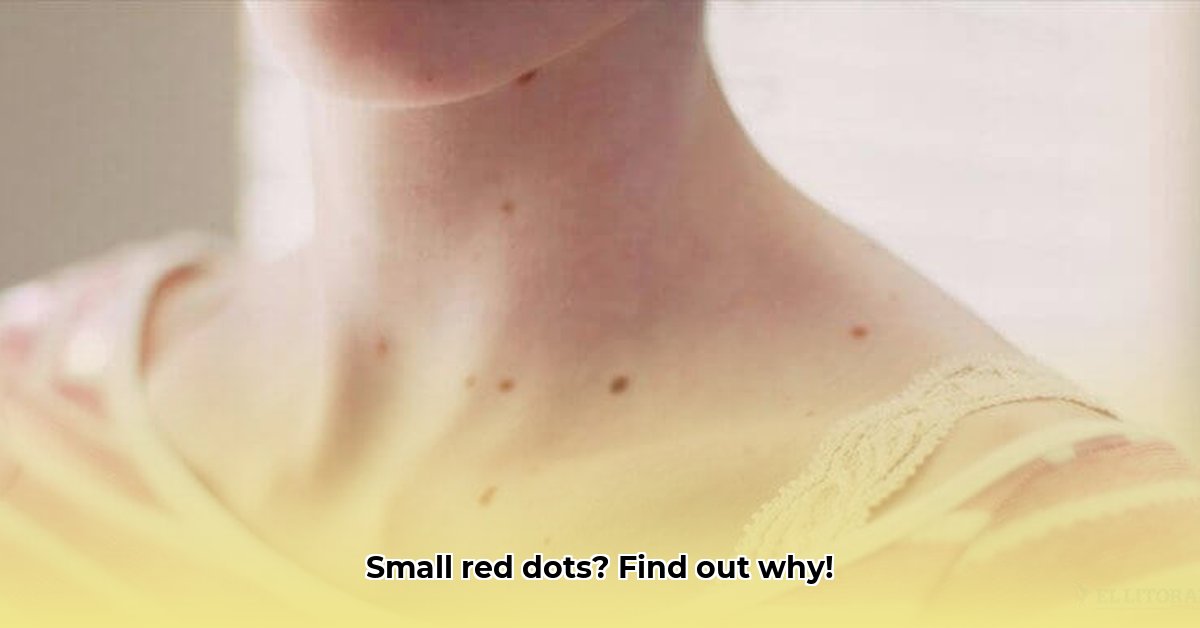 kleine-rode-stipjes-op-huid
